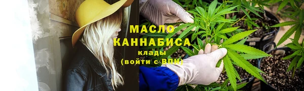 индика Навашино