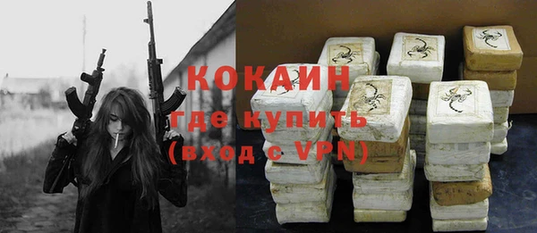 индика Навашино