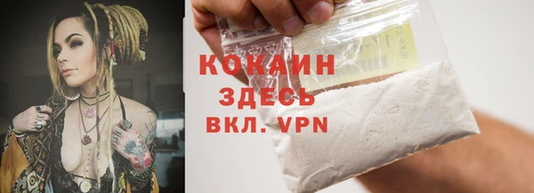 индика Навашино